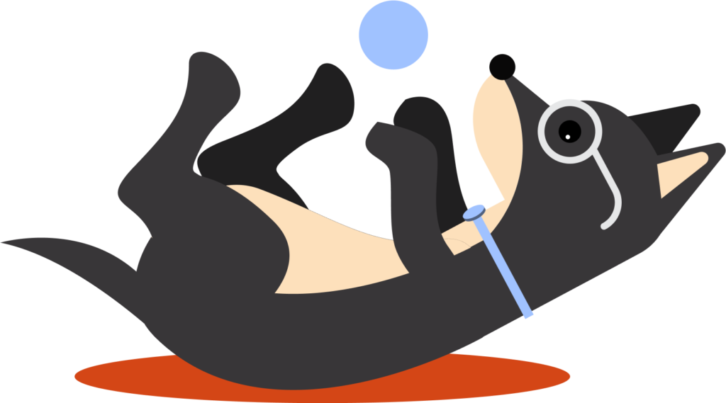 dog boarding in Orange County