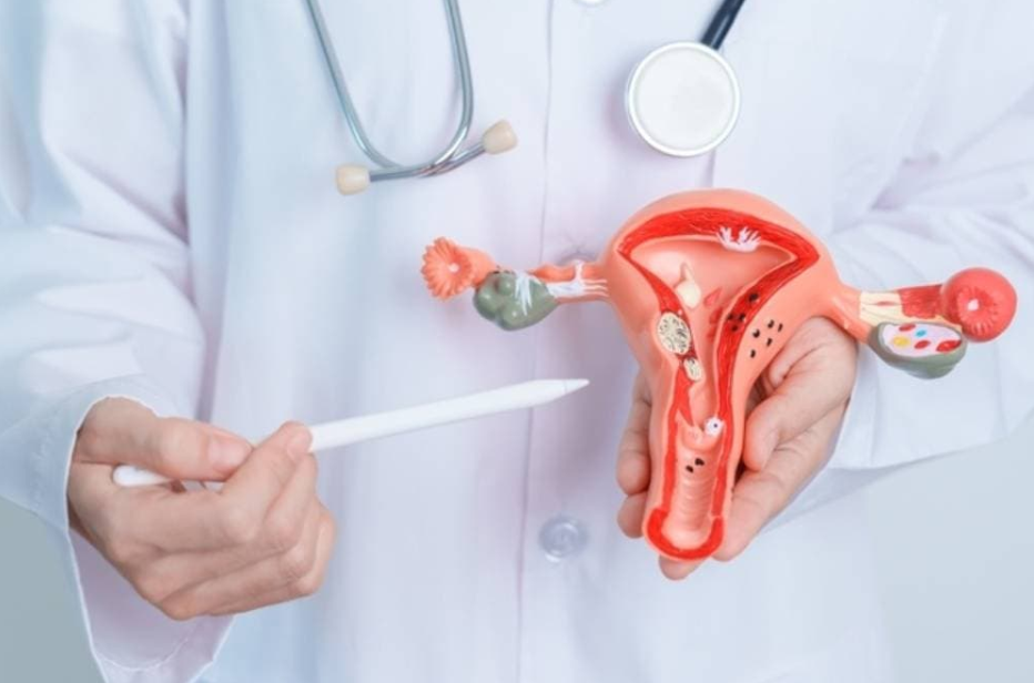Can You Do IVF with PCOS? What the Stimulation Protocol Actually Looks Like