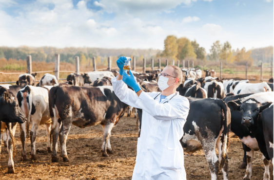 Veterinary Pharma Franchise in Tamil Nadu | Trusted Veterinary Medicine Manufacturer